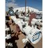 299 Sq Ft Fabsco Carbon Steel Shell & Tube Heat Exchanger