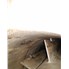 60 Sq Ft Artisan 304 Stainless Steel Thin Film Evaporator
