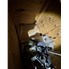 Used Pyrex Glass Thin Film Evaporator