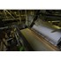 25 " Wide SS Conveyor