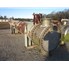 4611 Sq Ft PX Engineering Stainless Steel Shell & Tube Heat Exchanger