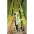 100 Gal Pfaudler Reactor