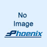 API Plant Liquidation